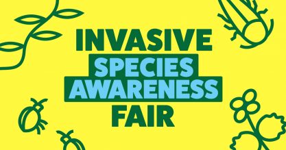 Yellow and green graphic with text that reads "Invasive Species Awareness Fair"