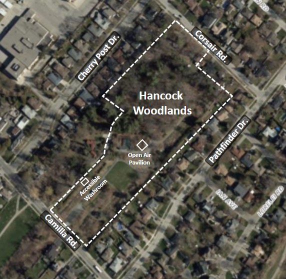 Overhead view of Hancock Woodlands park with the boundary outlined in a white border.