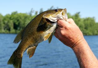 A person displaying a Small Mouth Bass 