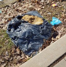 Pile of yard waste in a garbage bag left on the curb on a sidewalk