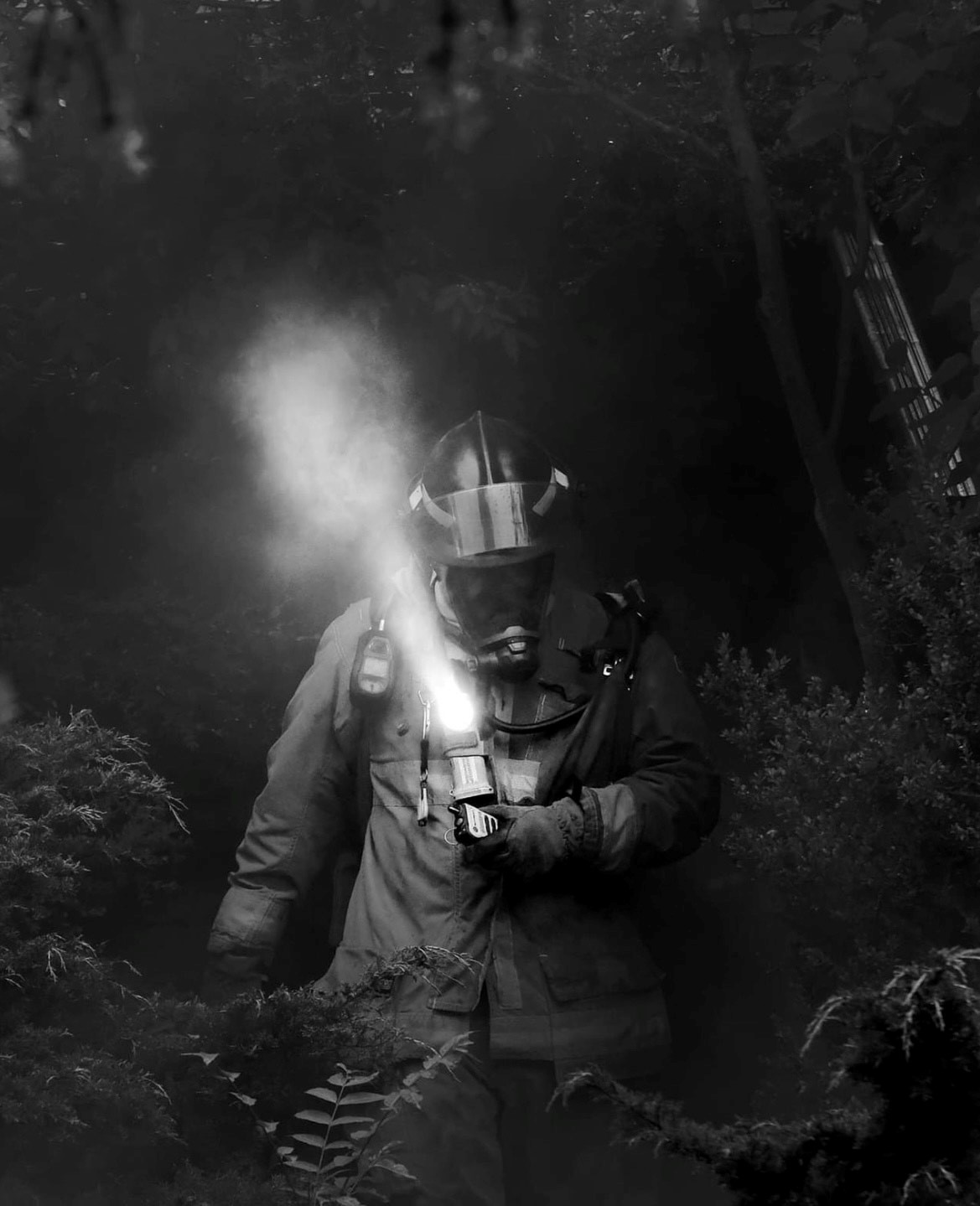 A firefighter on scene of an emergency, surrounded by plants.
