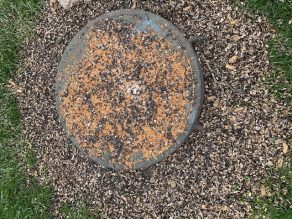 Bird seed left at a Stonebrook park