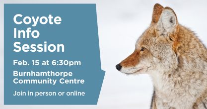 A poster about a Coyote Information Session happening on Feb 15, 2024
