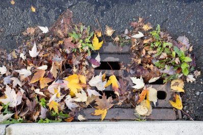 Fall foliage and weeds blocking storm water drain 