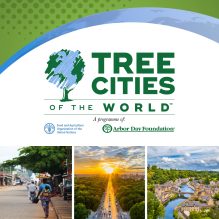Graphic with text that reads "Tree Cities of the World"
