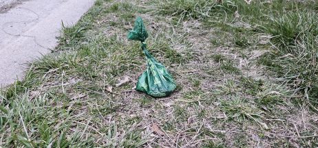 Dog waste bag left on ground