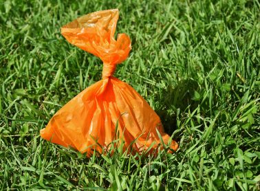 Dog waste bag left on ground