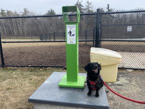 Dog waste container with a dog posing beside it