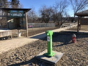 Dog waste container in leash-free zone in Mississauga