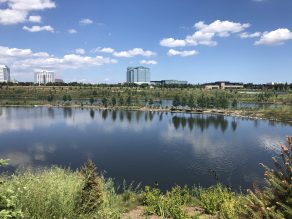 Photo of a stormwater pond within a park