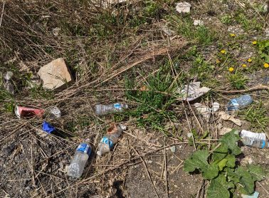 Plastic bottles, containers and cans littered on ground at a park.