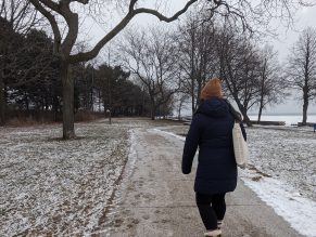 Person walking on trail during the winter.
