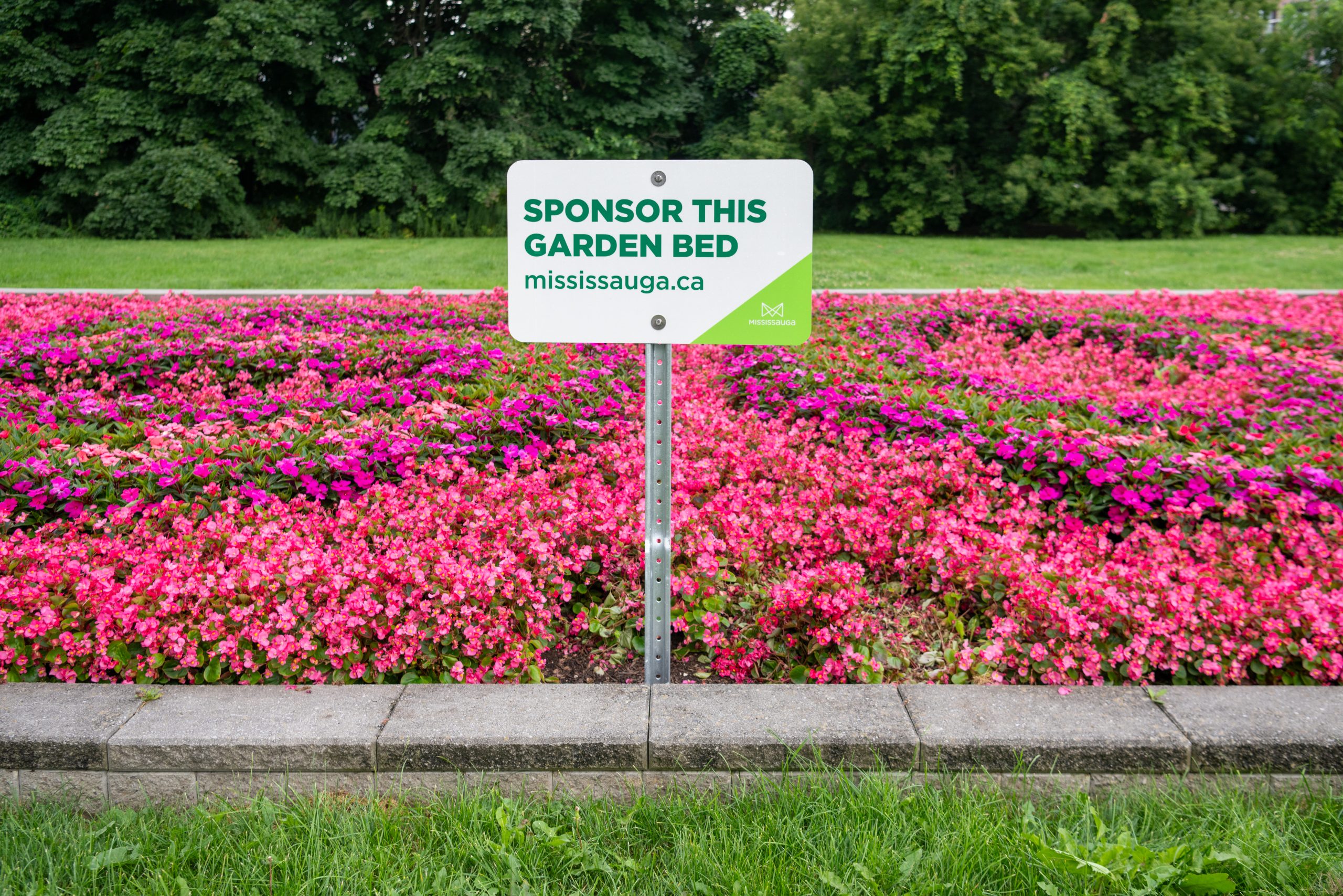 A sponsor a garden bed sign posted in a flowerbed with pink flowers.