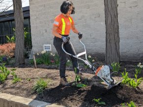 City staff gets soil in plant bed ready for planting. 