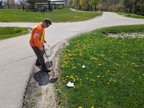 City staff picking up litter at Mississauga park. 