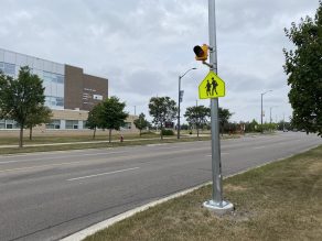 School crossing sign on a pole