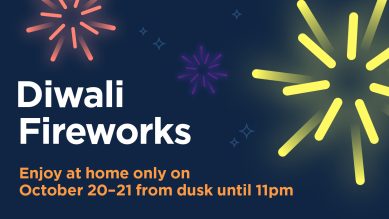 Graphic of Diwali Fireworks