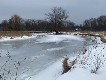 Full screen view of Ice on the Credit River