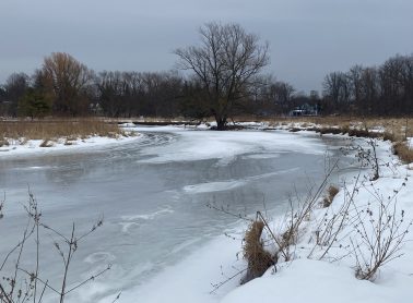 Full screen view of Ice on the Credit River