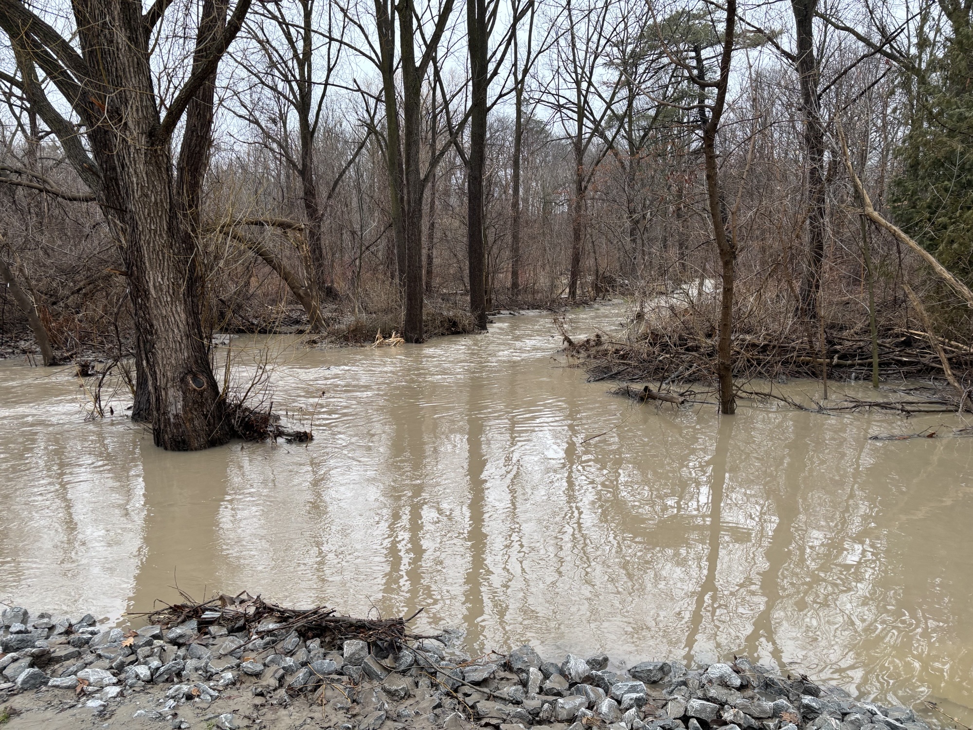 A full view of a flooded portion of the trail