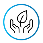 Two hands embracing a floating leaf