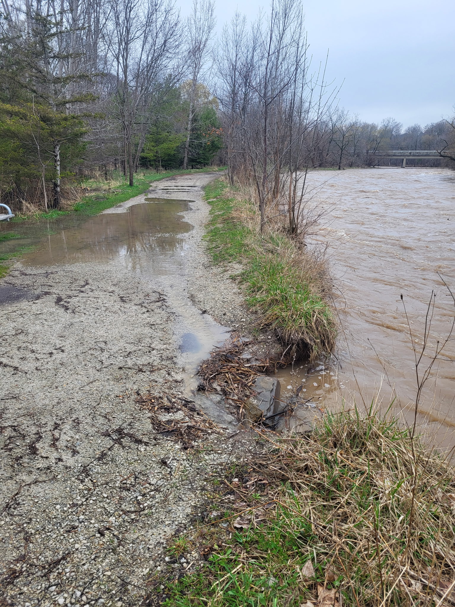 Flooding on the Culham Trail in Mississauga