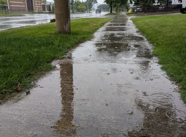 Wet sidewalk