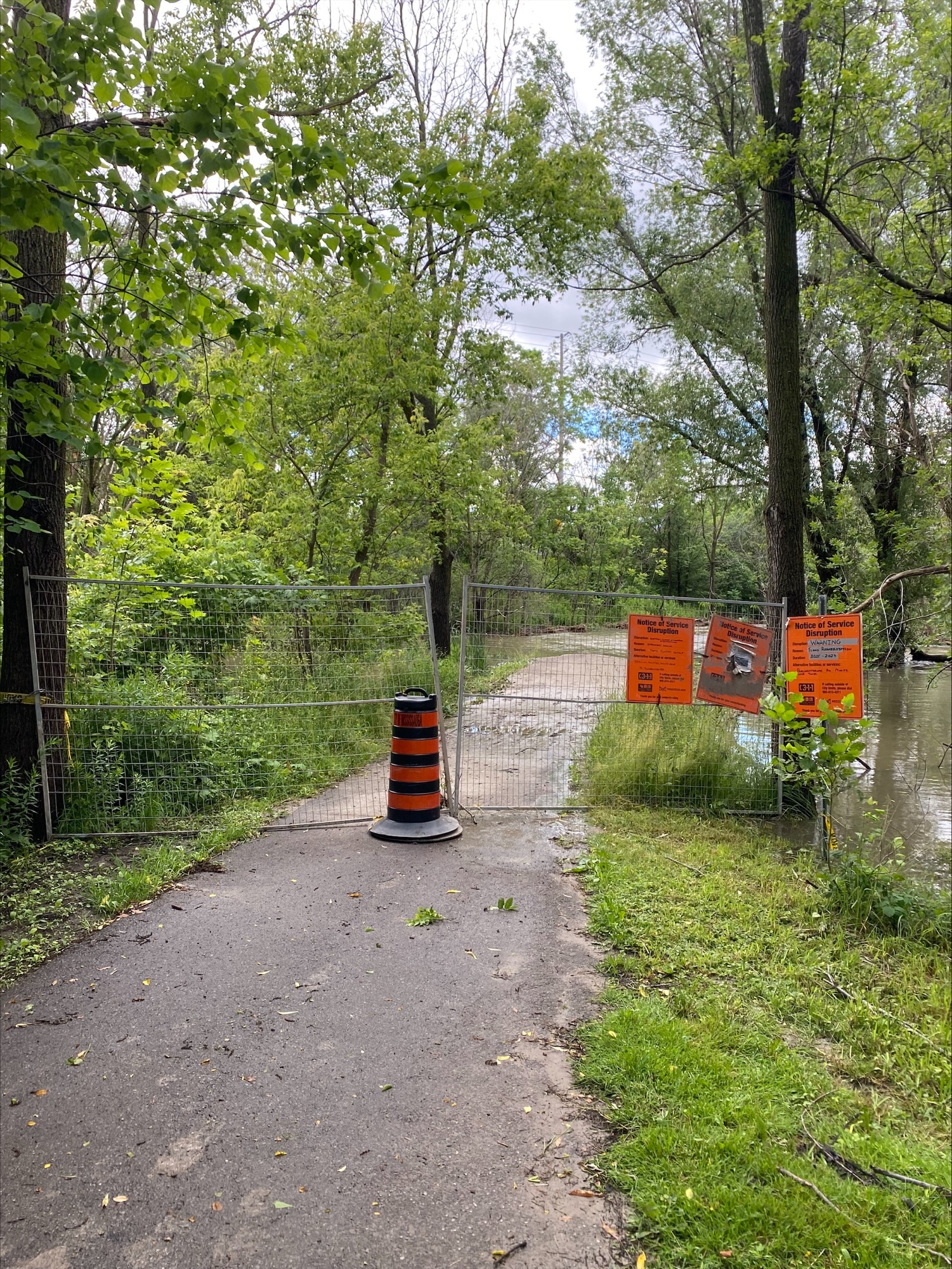 Flooding on a trial at Sawmill Valley Trail (N. side of Burnhamthorpe