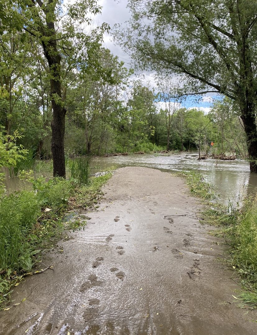 Flooded trail at Sawmill Valley