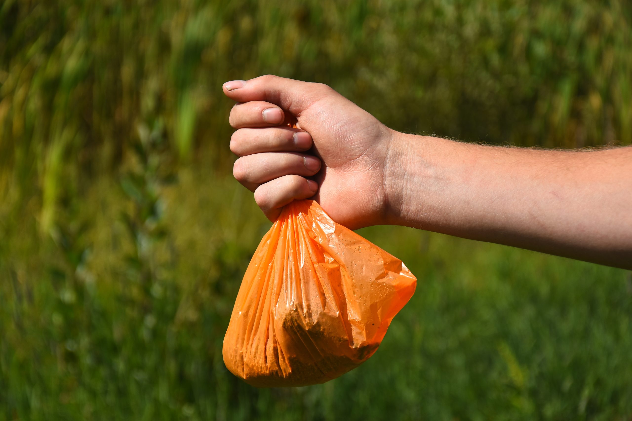 Close-up shot of a person's hand holding a tied dog waste bag.
