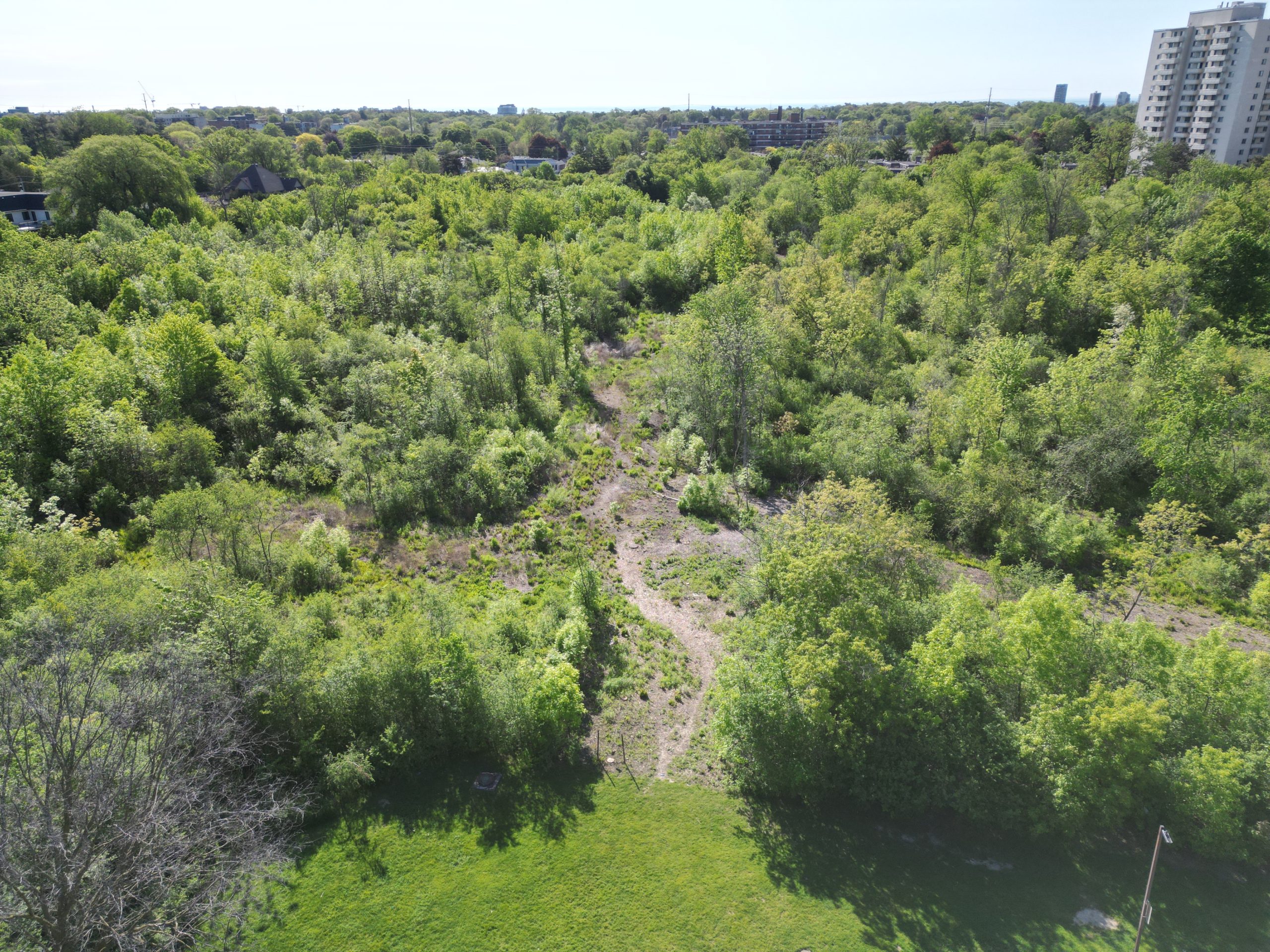 Ariel view of Iggy Kaneff Park