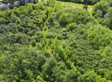 Ariel view of Iggy Kaneff Park