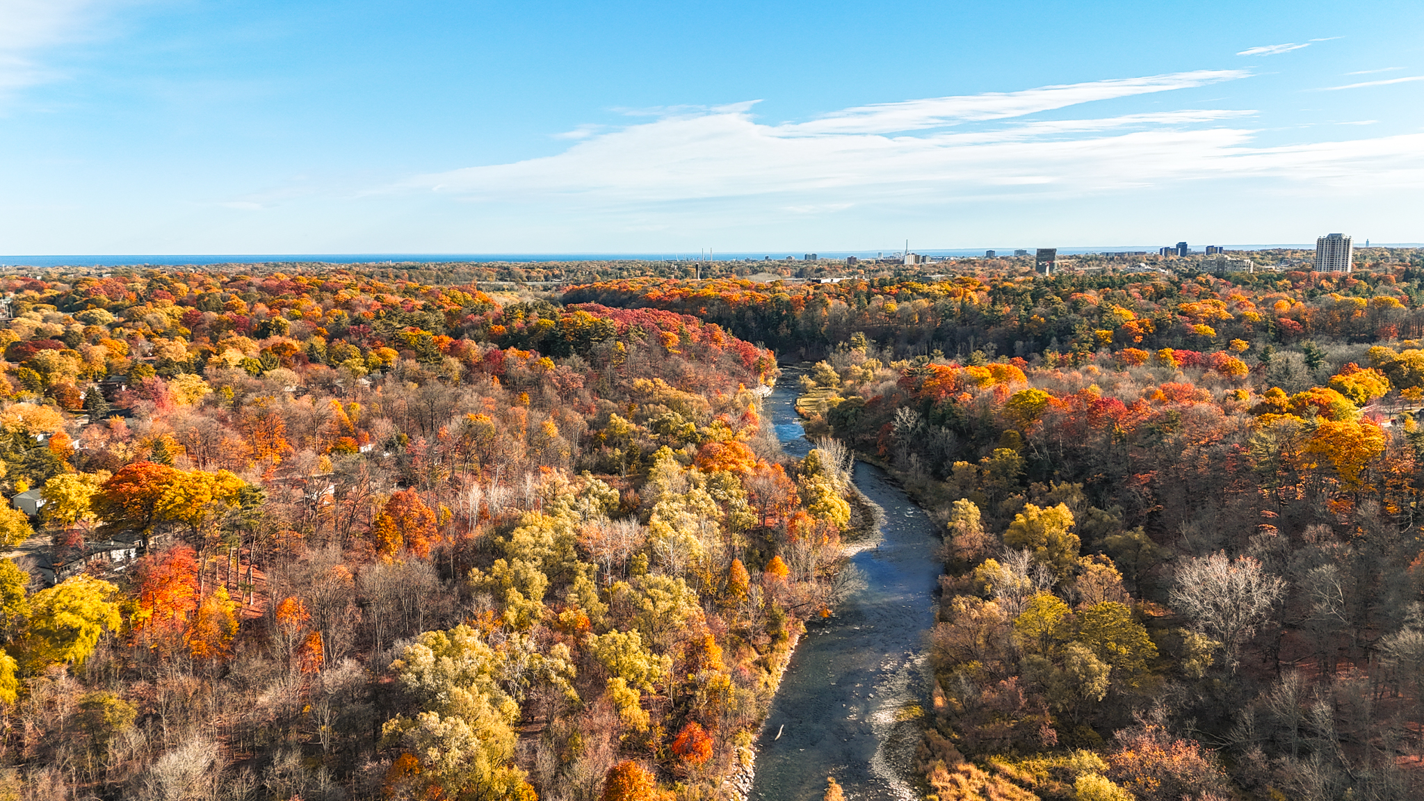 Aerial view of Riverwood Park showing the different shades of red, orange and yellow leaves on trees during the fall.