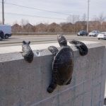 Metal sculpture depicting a turtle and other animals