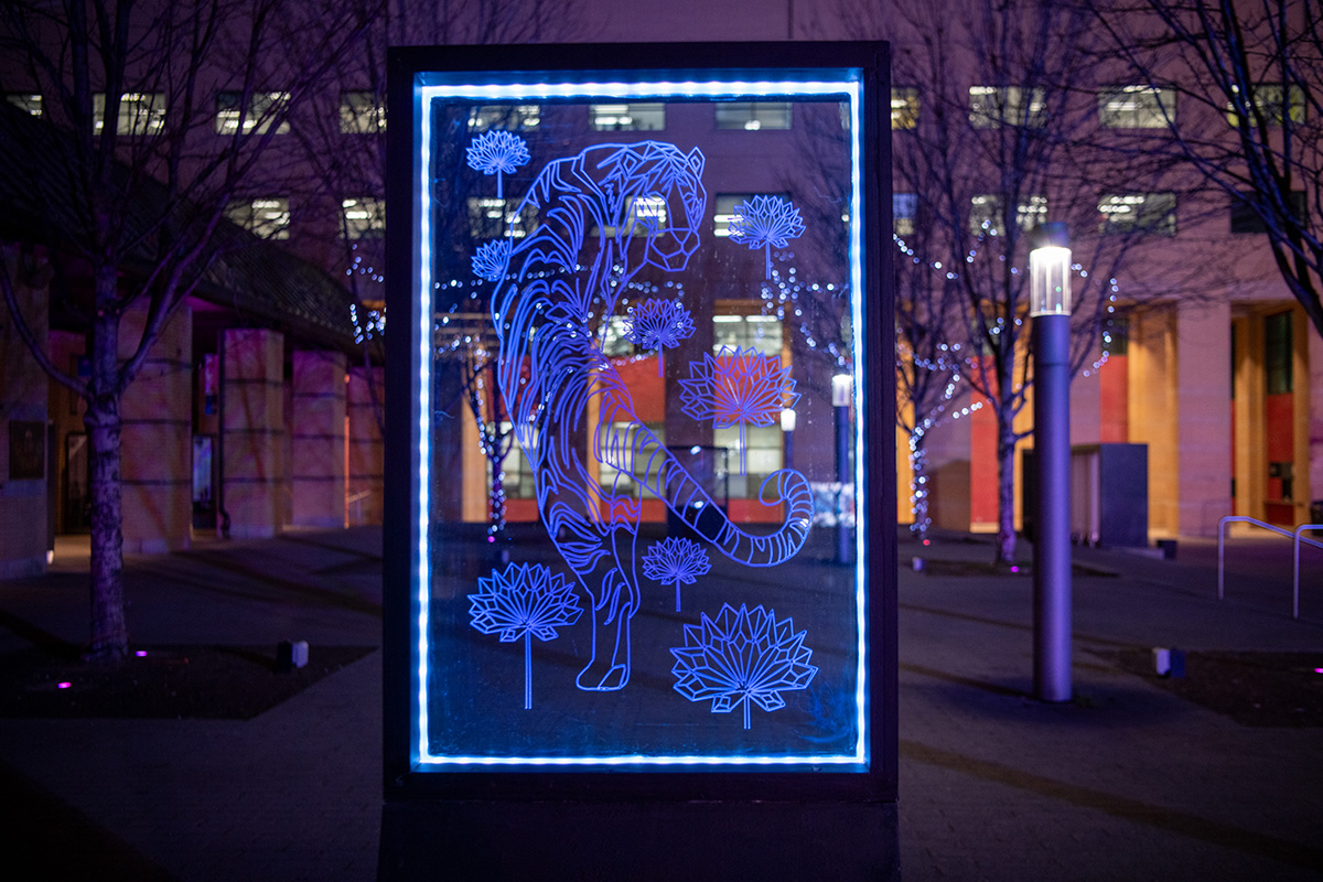 An outdoor illuminated art installation featuring a blue neon light outline of a tiger surrounded by neon light flowers, displayed within a rectangular frame. The installation is set against a nighttime urban background with trees, lampposts, and a building with lit windows.