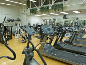 Interior of fitness centre showing rows of treadmills and exercise equipment