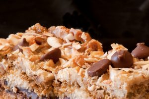 Close up of a chocolate chip and coconut dessert bar.