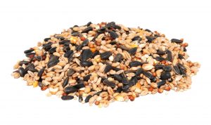 Pile of bird seed including sunflower seeds, wheat and maize, isolated on a white background