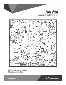 owl numbers and colouring page