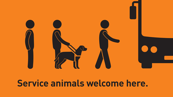 Service animals are welcome on MiWay.